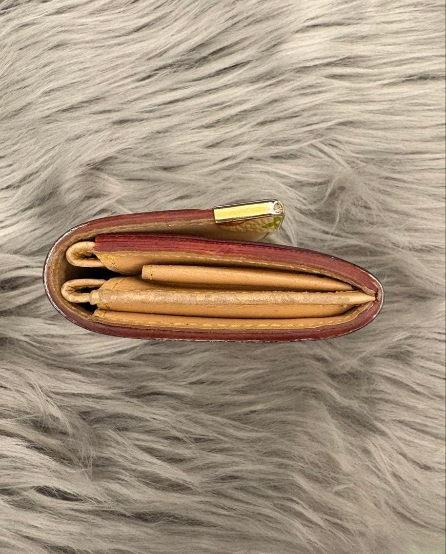 s*o様 Louis Vuitton マルチカラー ケース