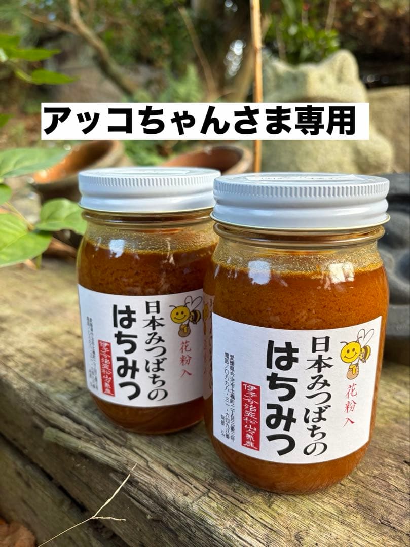 ハチミツ 日本蜜蜂の蜂蜜 花粉入りはちみつ 奥山の奥 - メルカリ