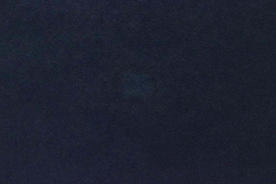 歌舞伎 二代目 市川猿乃助 隈取 額装 希少品 初代 猿翁(ZE446)