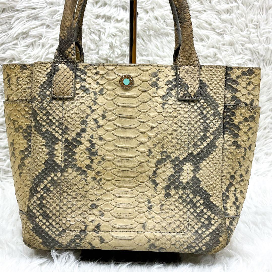 超希少 ティファニー ハンドバッグ リアルパイソンレザー ロゴ金具