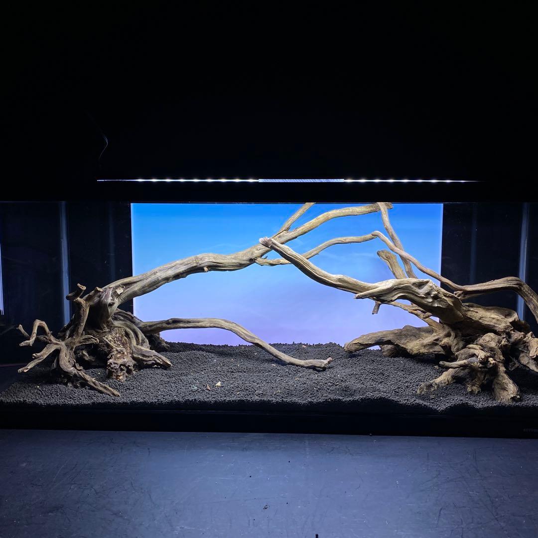 MSRW-6372 天然流木レイアウトセット スリムウッド アクアリウム