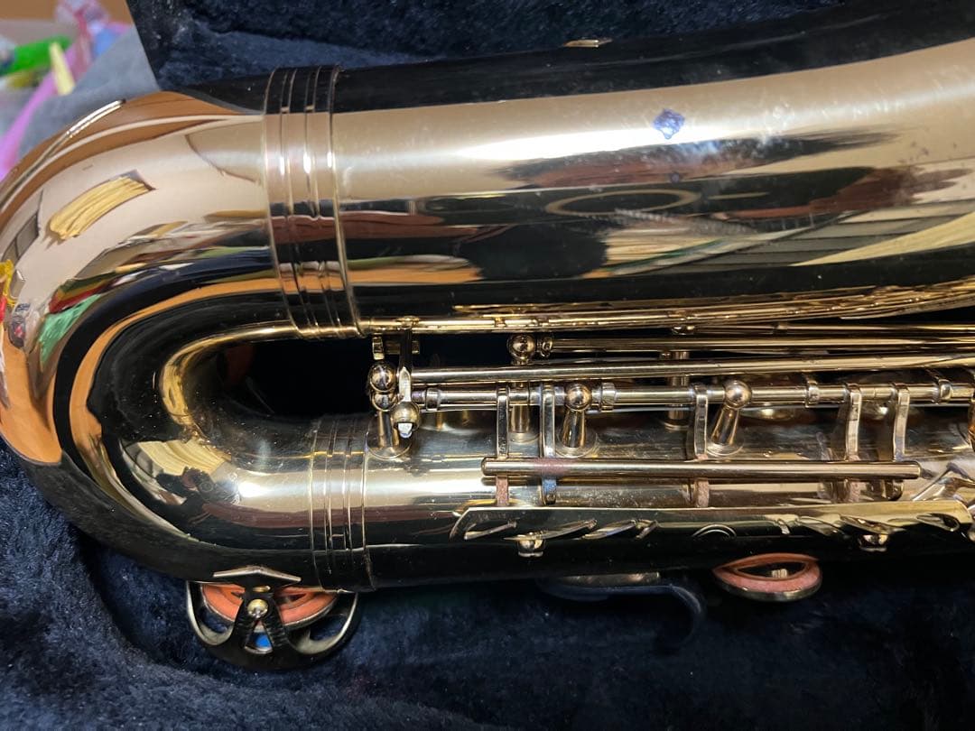 Max Toneアルトケースネックストラップリガチャーリード付Rapsag