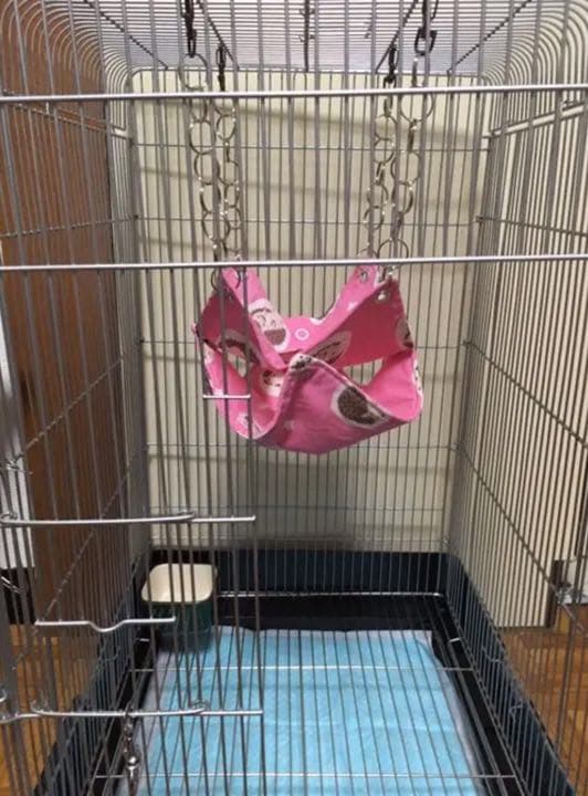 モモンガハウス（ブタ柄）フリースP・ネル生地 春（夏）冬仕様 トップ