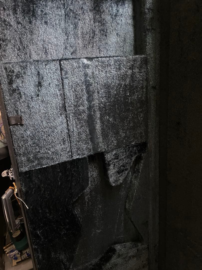 ESP THE CRYING STAR ハードケース