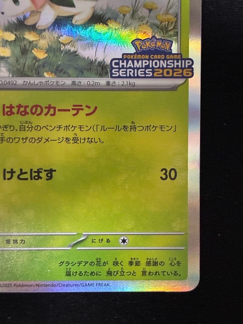 チャンピオンズリーグCL2026 プロモ　ロケット団のミュウツーex シェイミ