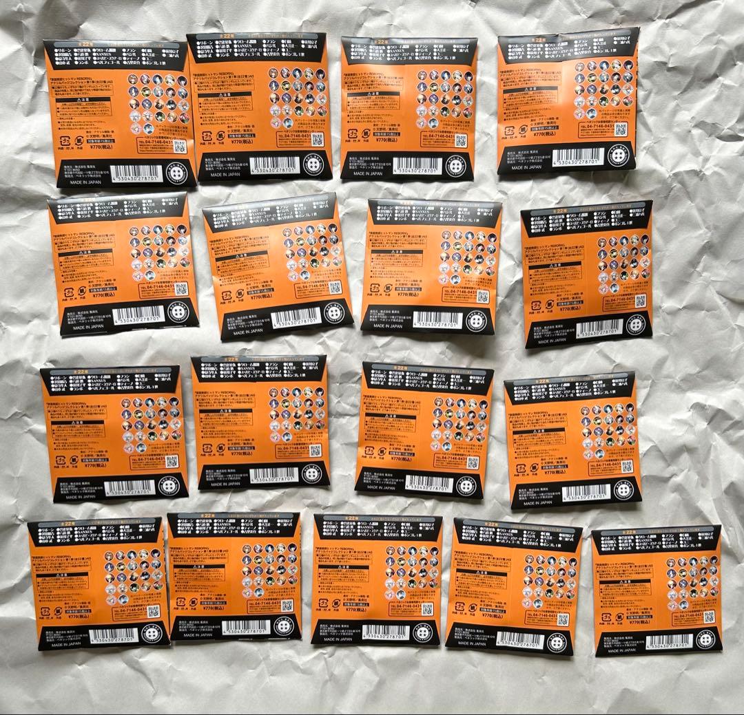 未開封　家庭教師ヒットマンREBORN アクリルバッジコレクション　17点