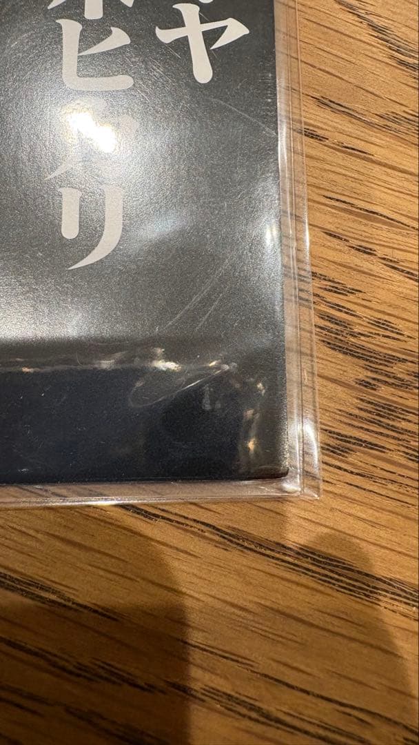 エヴァンゲリオン カードダスマスターズ 伊吹マヤ&洞木ヒカリ 通常箔 抽プレ