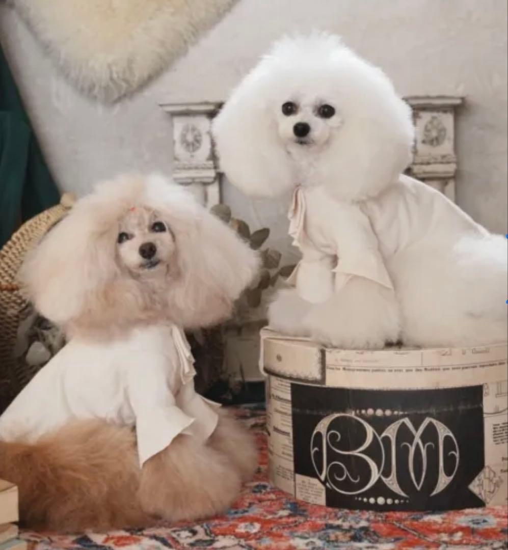 新品 pp closet ホワイトクリスマスドレス 34 PPクローゼット