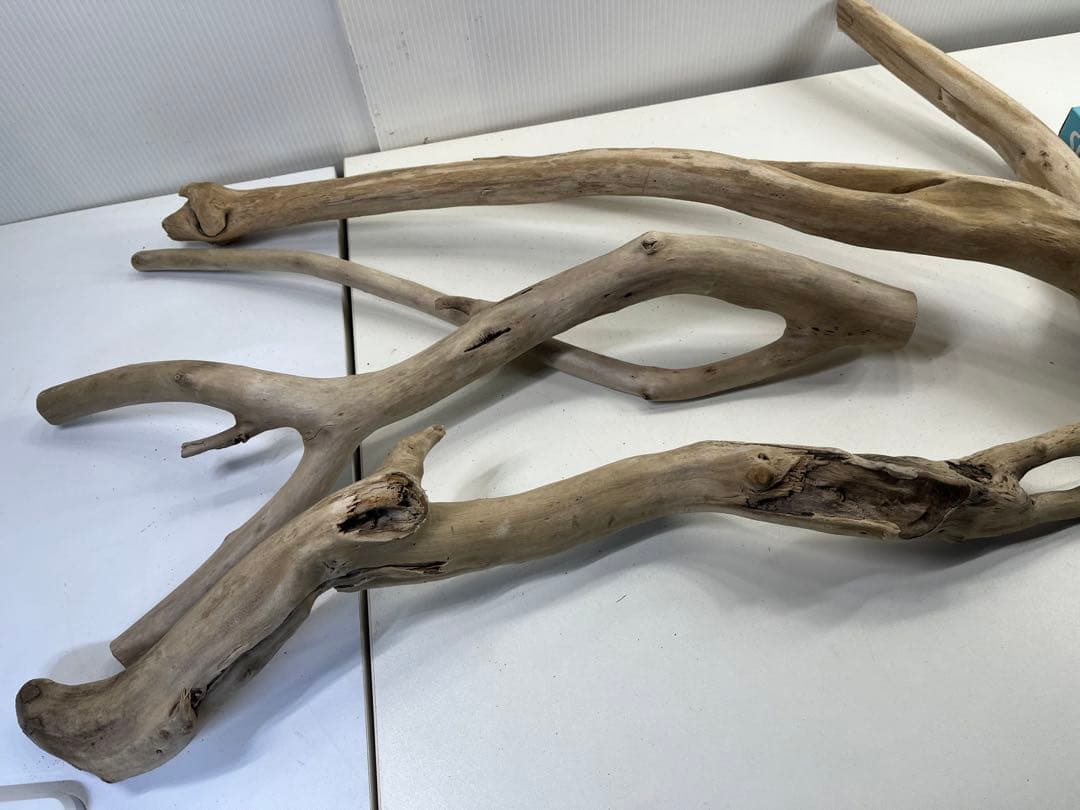 F7アク抜き済み流木セット 爬虫類シェルター 登り木 インテリア 生け花
