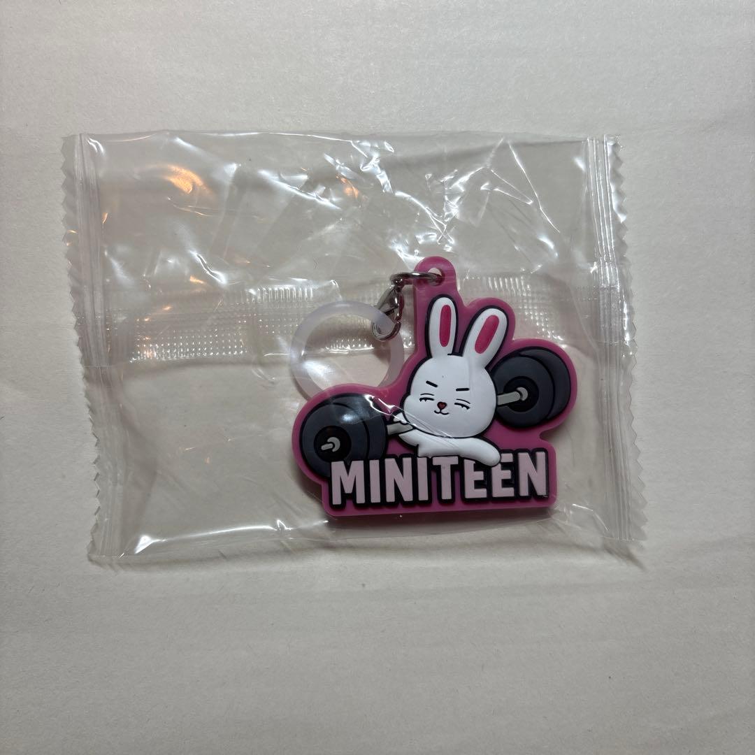 SEVENTEEN】 ミニティーン エスクプス - メルカリ