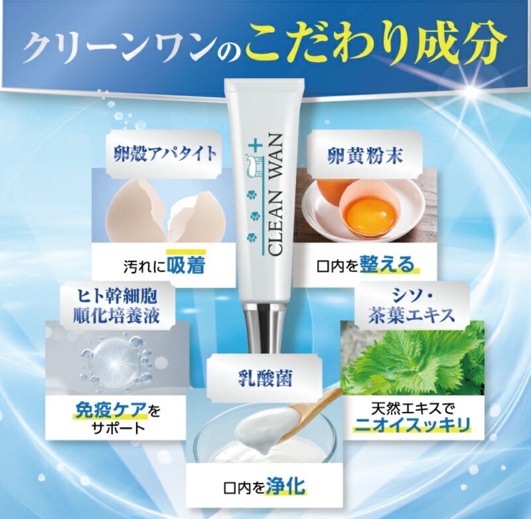 CLEAN WAN クリーンワン 犬用歯磨きジェル 15g 【15％OFF!!10/27(月