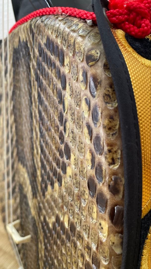 3/18まで特価❗️沖縄三線　ソフトケース付　初心者　三味線　黒塗