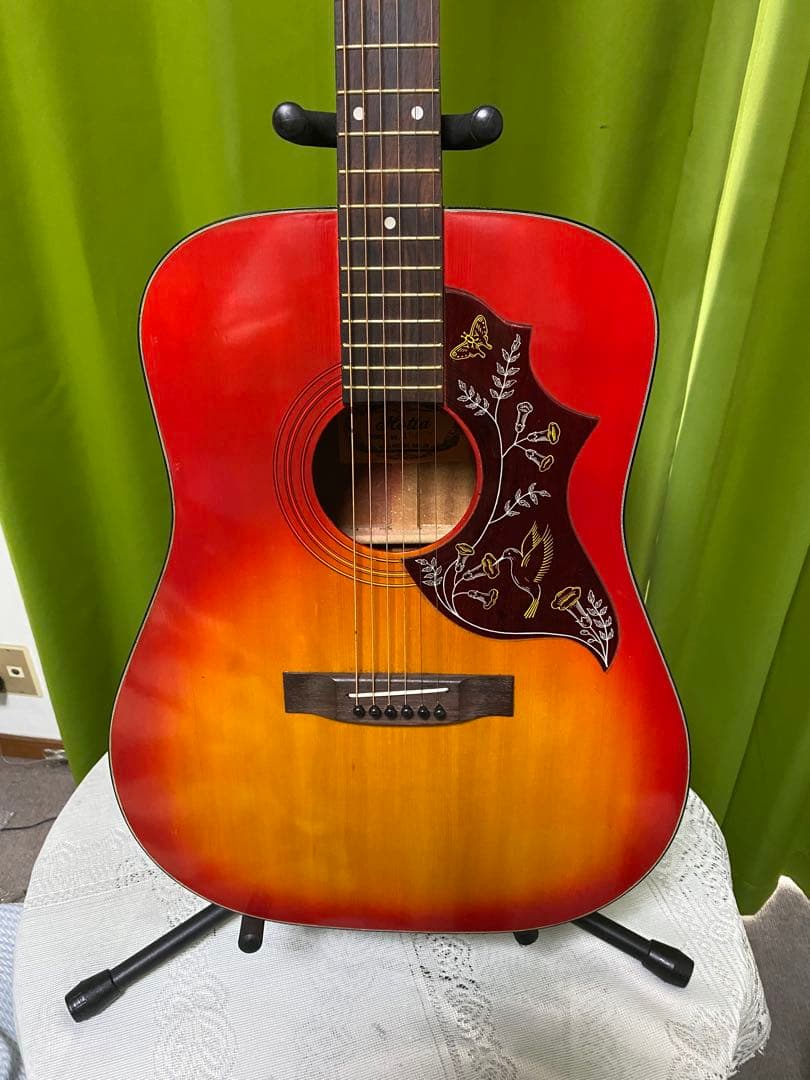 美品 カントリーしようぜ！ ハミングバード HOTTA エレアコ 音出し良好