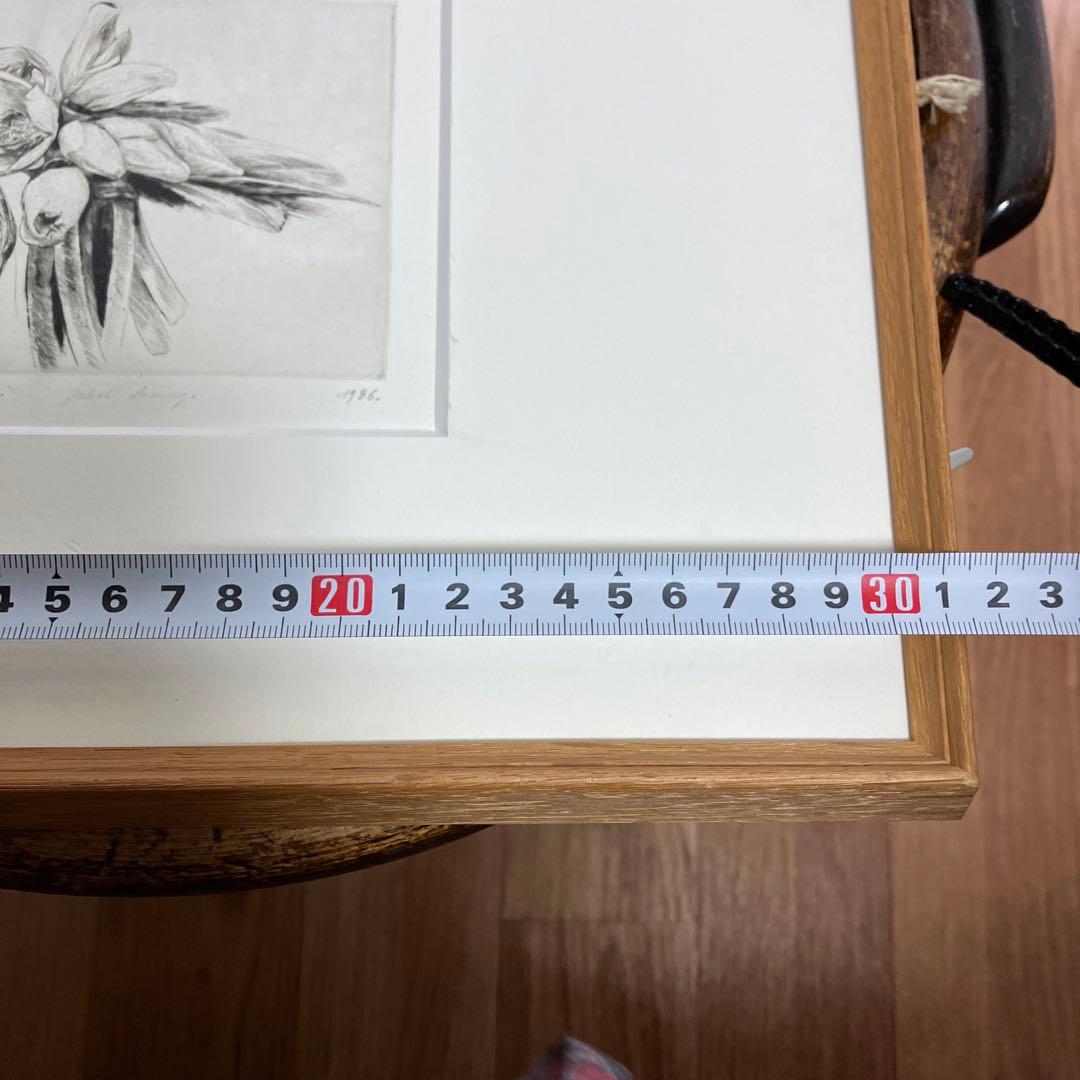 Jakob Demus ダイヤモンドドライポイント技法エッチングボタニカル画