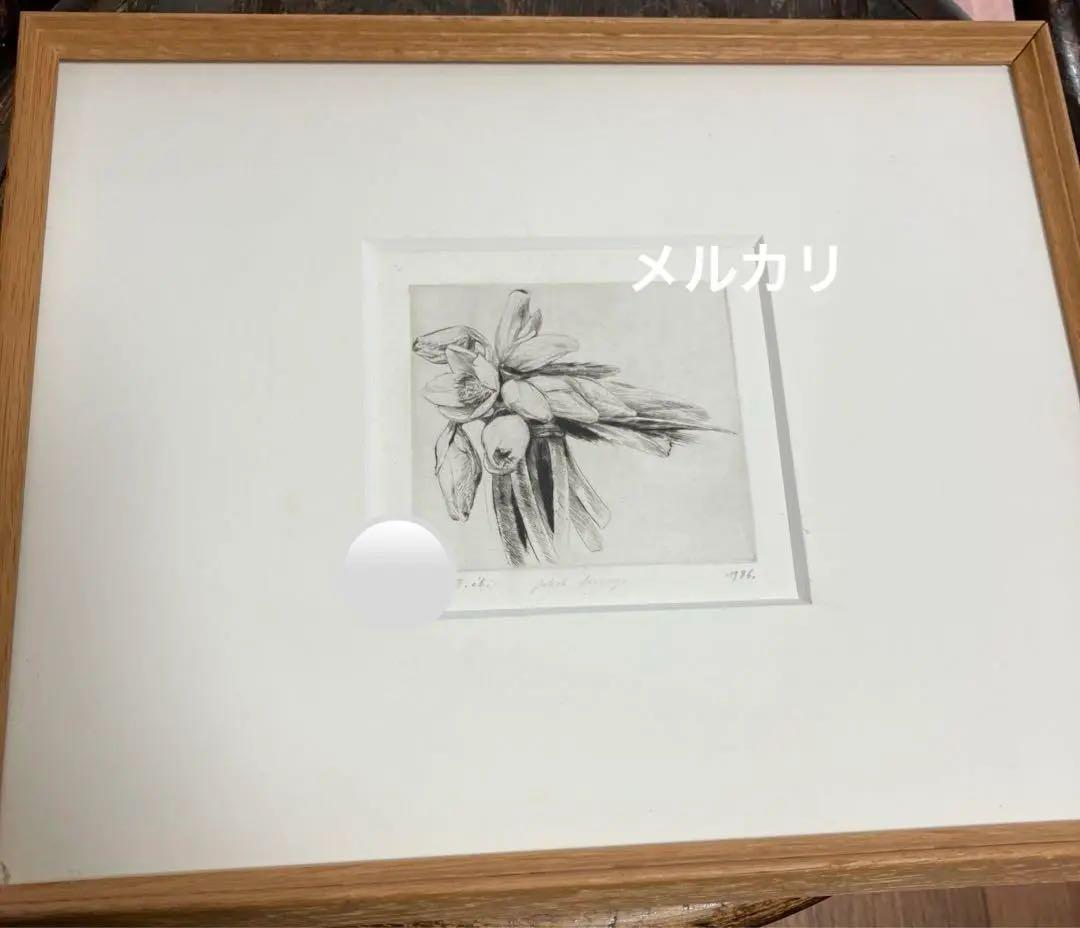 Jakob Demusダイヤモンドドライポイント技法エッチングボタニカル画②