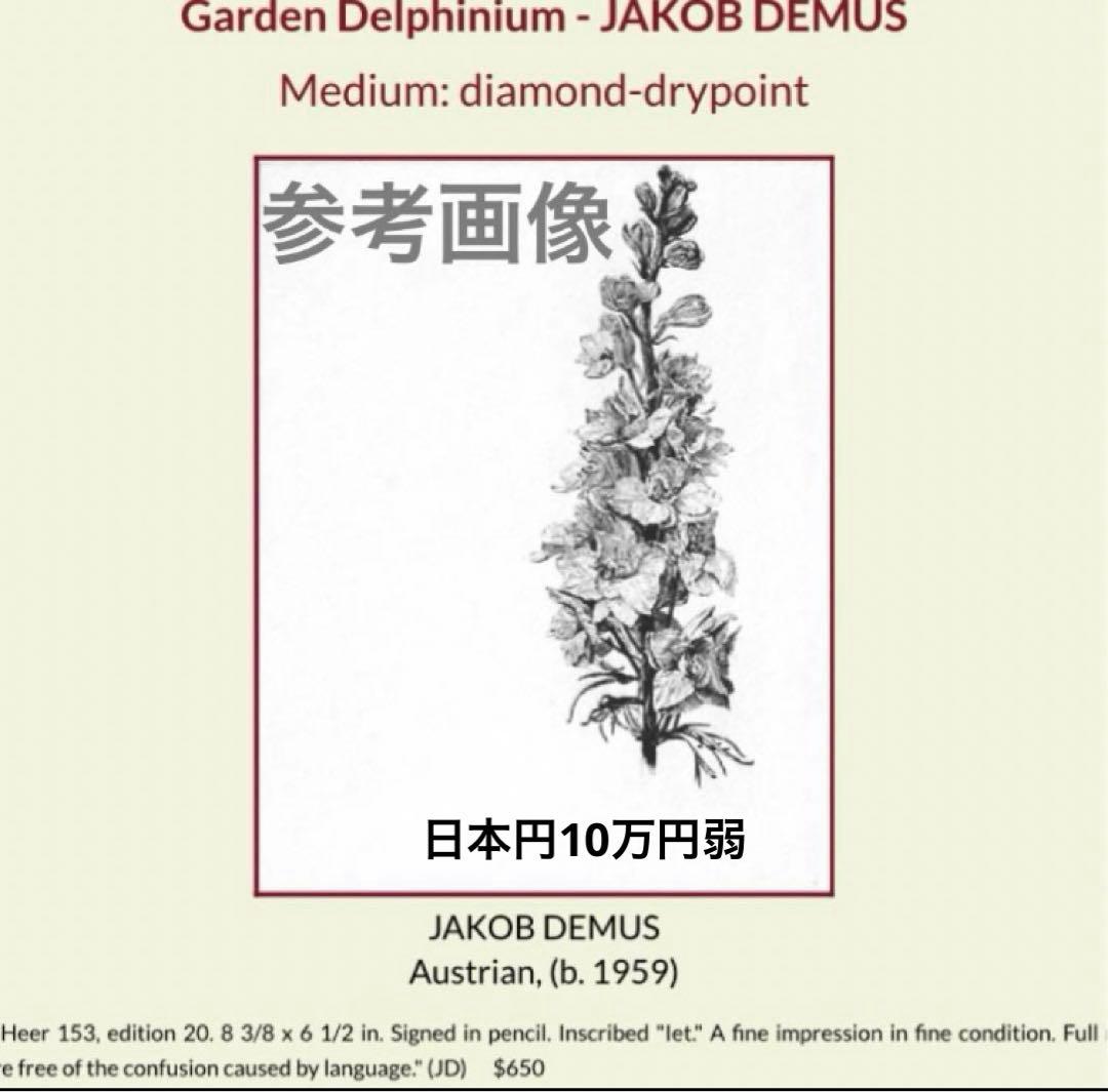 Jakob Demus ダイヤモンドドライポイント技法エッチングボタニカル画