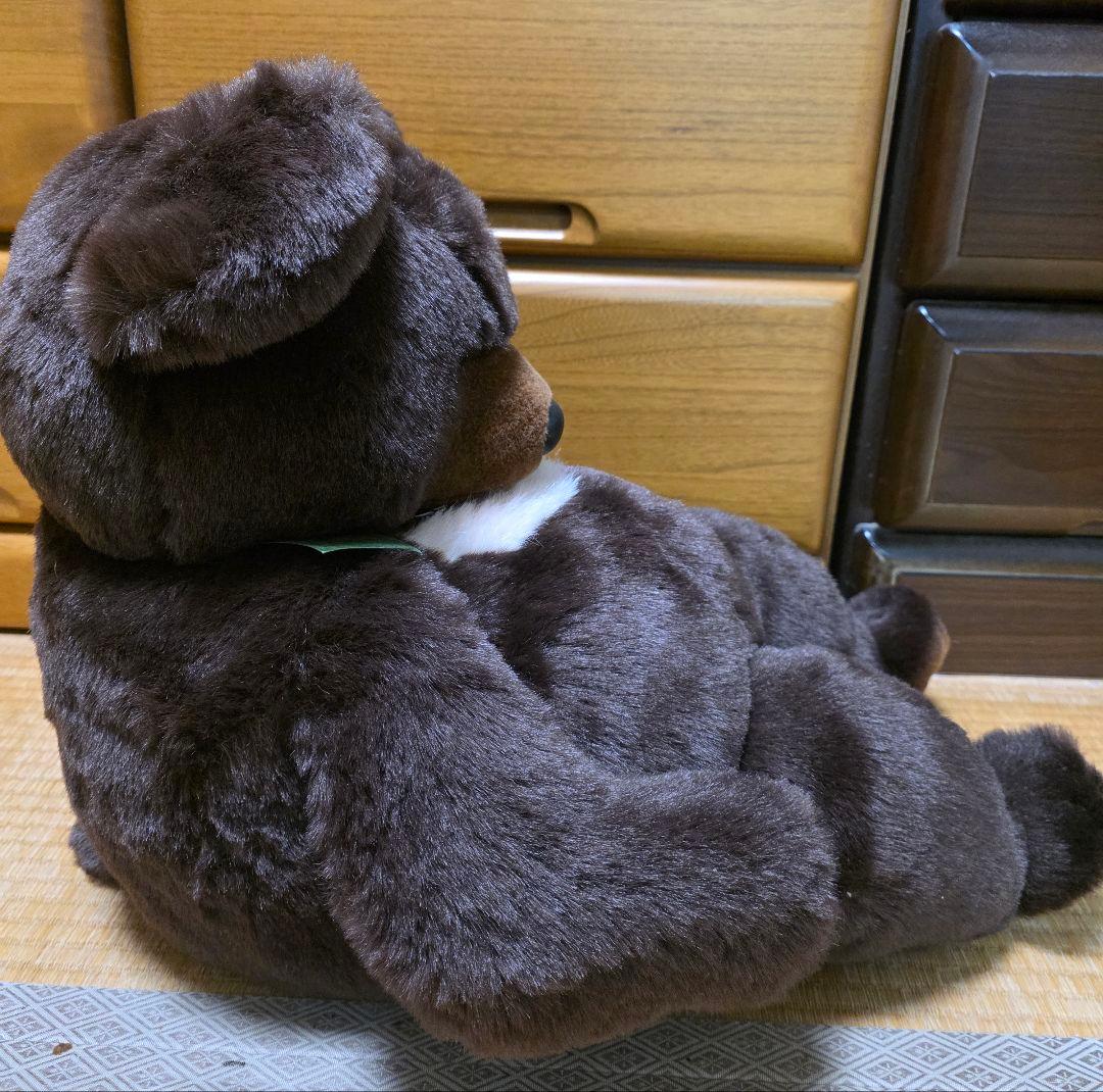 【サンアンドスター】月の輪熊（ツキノワグマ）