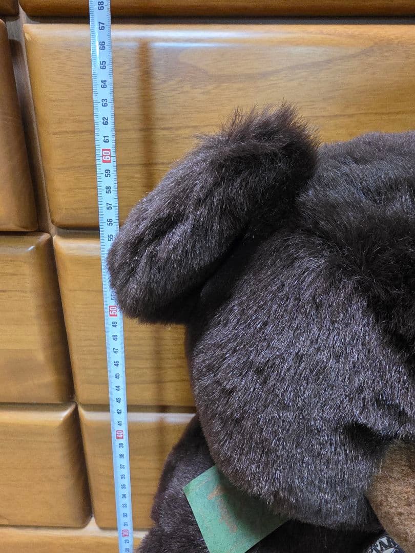 【サンアンドスター】月の輪熊（ツキノワグマ）