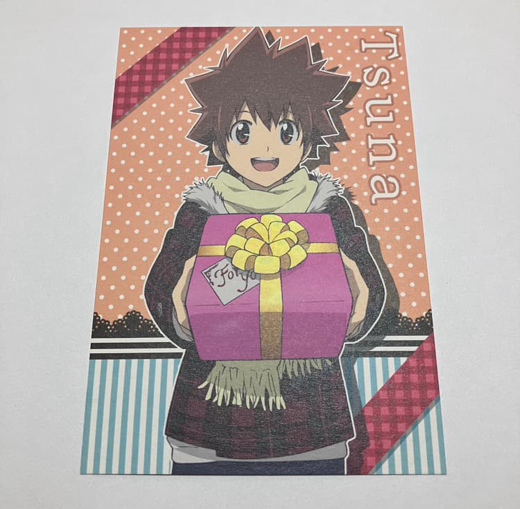 家庭教師ヒットマン REBORN！リボアニ ポストカード 沢田綱吉 ツナ