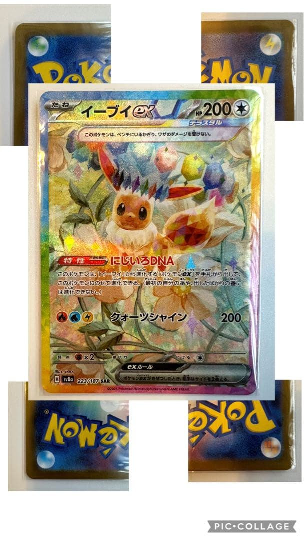 ポケモンカード テラスタルフェス ゴットパック ブイズ ex sar 9枚セット