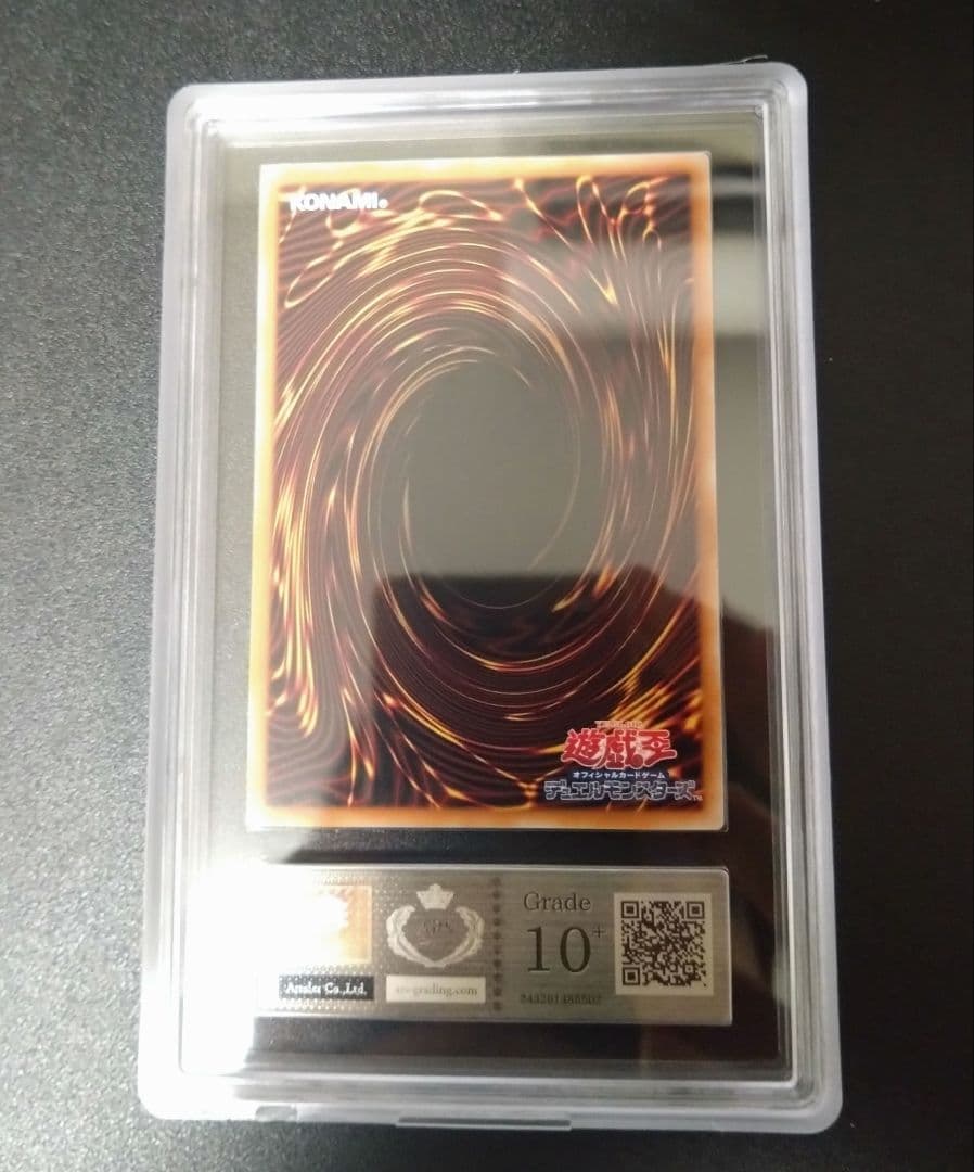 【ARS10＋】迷宮城の白銀姫　25thシク　クオシク