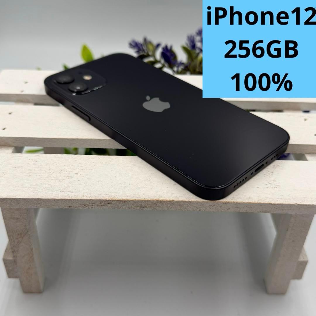 iPhone12 256GB ブラック 401 - メルカリ