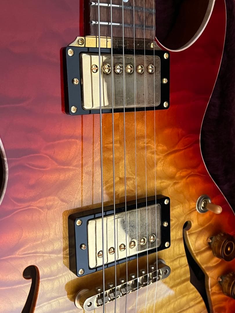 ギター B&G GUITARS little sister private build