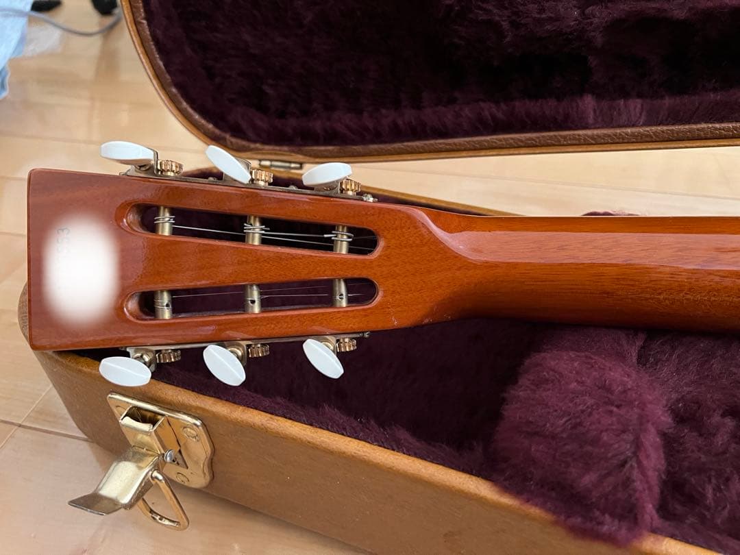 ギター B&G GUITARS little sister private build