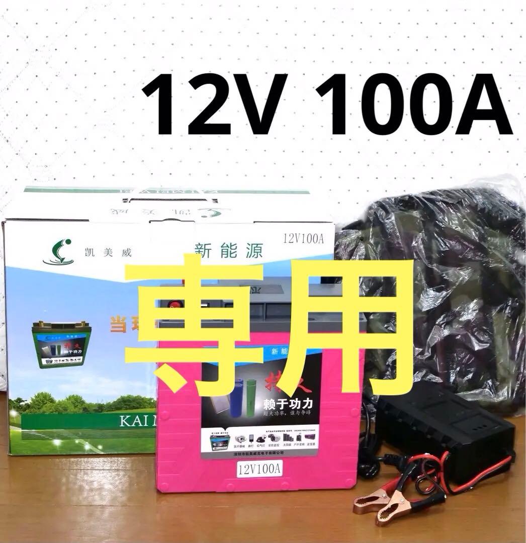 ☆ソーラーパネル 両面発電 太陽光パネル 80W ソーラーチャージャー