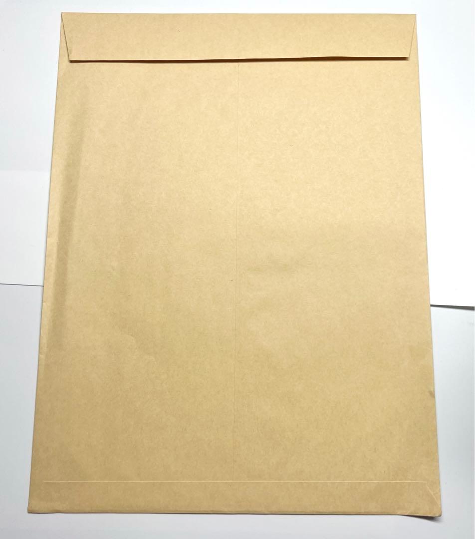 吸血鬼すぐ死ぬ ロナルド ドラルク ジョン 複製原画 封筒つき - メルカリ