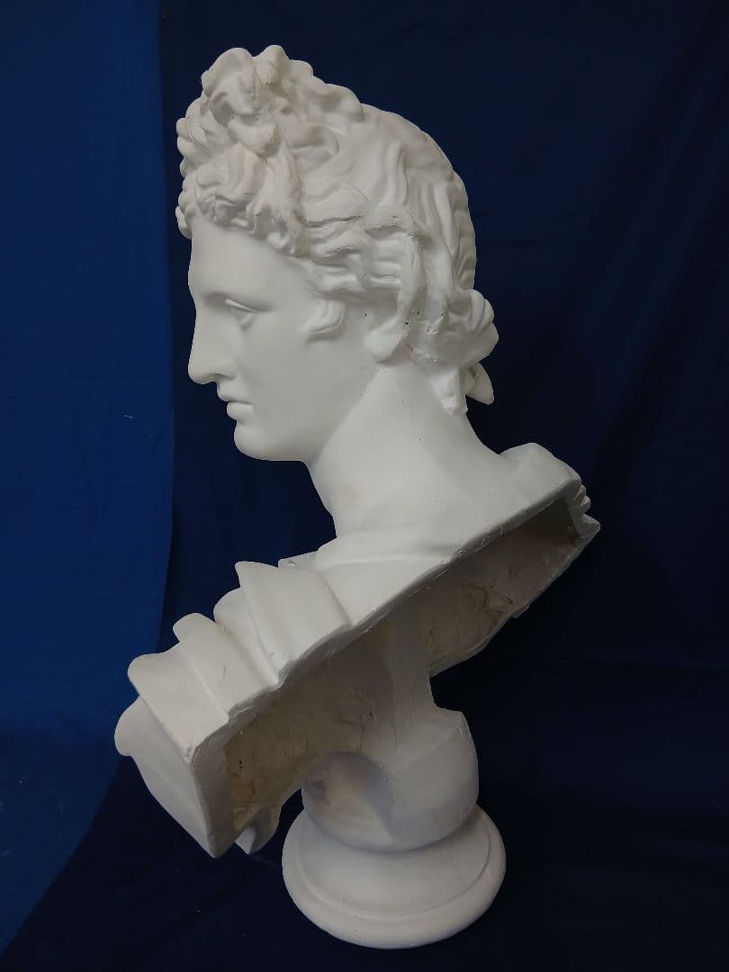 アポロ胸像(高さ81cm)