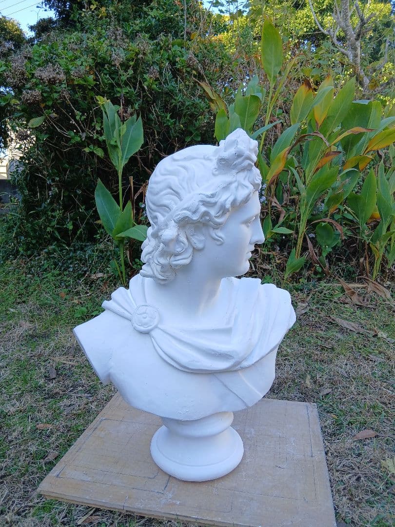 アポロ胸像(高さ81cm)