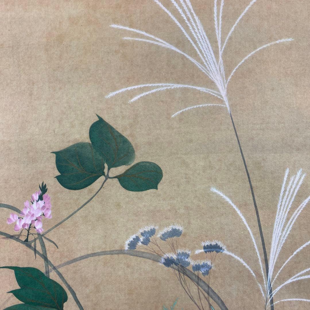 美品 掛け軸 酒井抱一筆「七草図」印刷 解説付き 名画 おもてなし