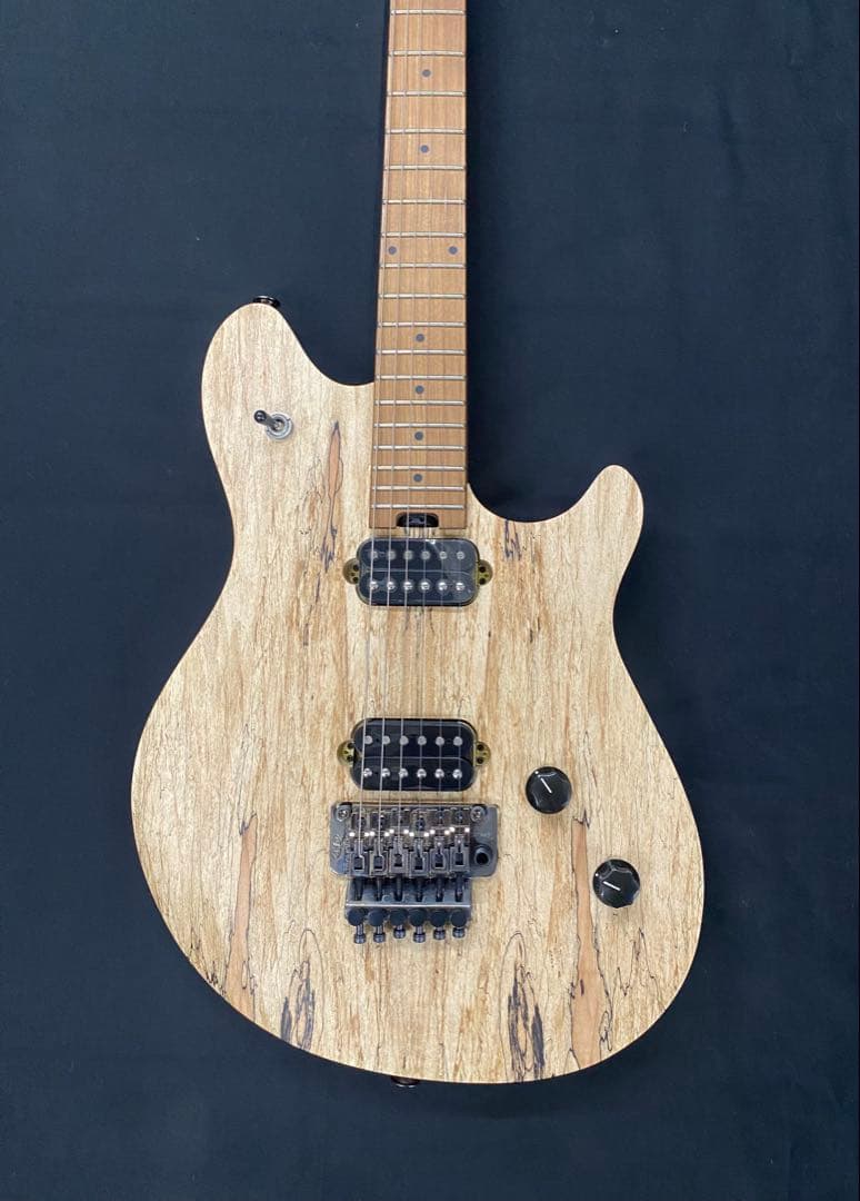 EVH エレキギター☆ソフトケース付☆｜EVH エレキギター☆ソフトケース付