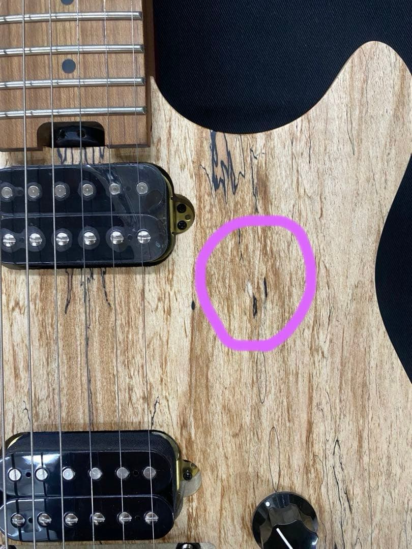 EVH エレキギター☆ソフトケース付☆｜EVH エレキギター☆ソフトケース付