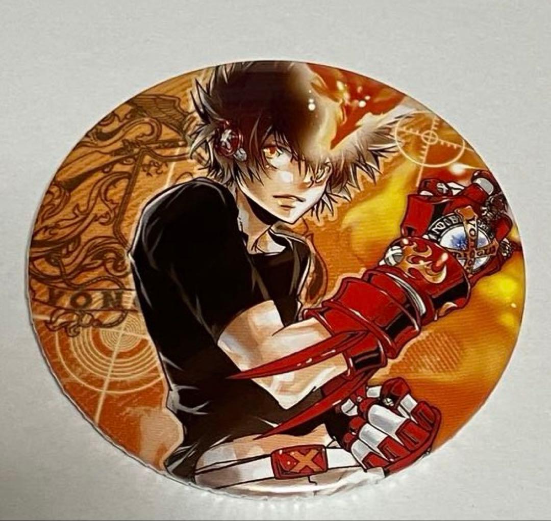 Rebo＆Dlive COLLECTION 缶バッジリボーン沢田