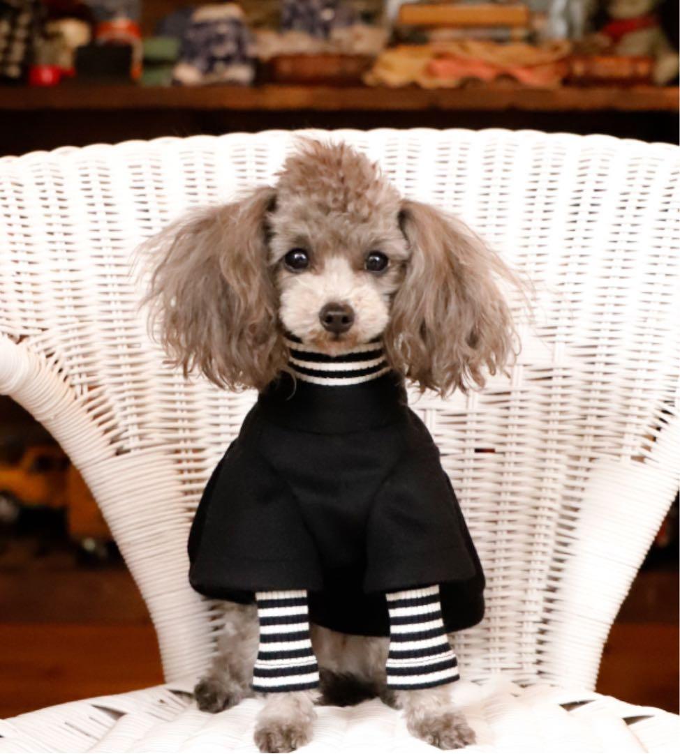 アトリエgg⭐︎ マント・デ・マルシェ⭐︎コート⭐︎カシミヤ⭐︎1