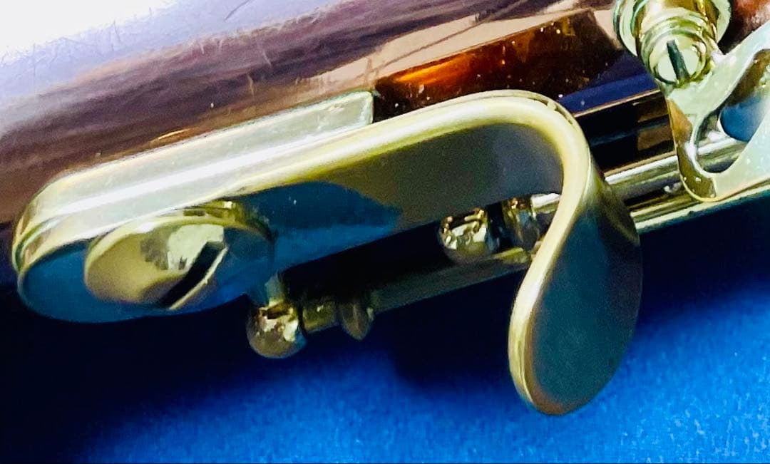 ビュッフェクランポン プレスティージュ S3 (アルトサックス)【超希少ケース】