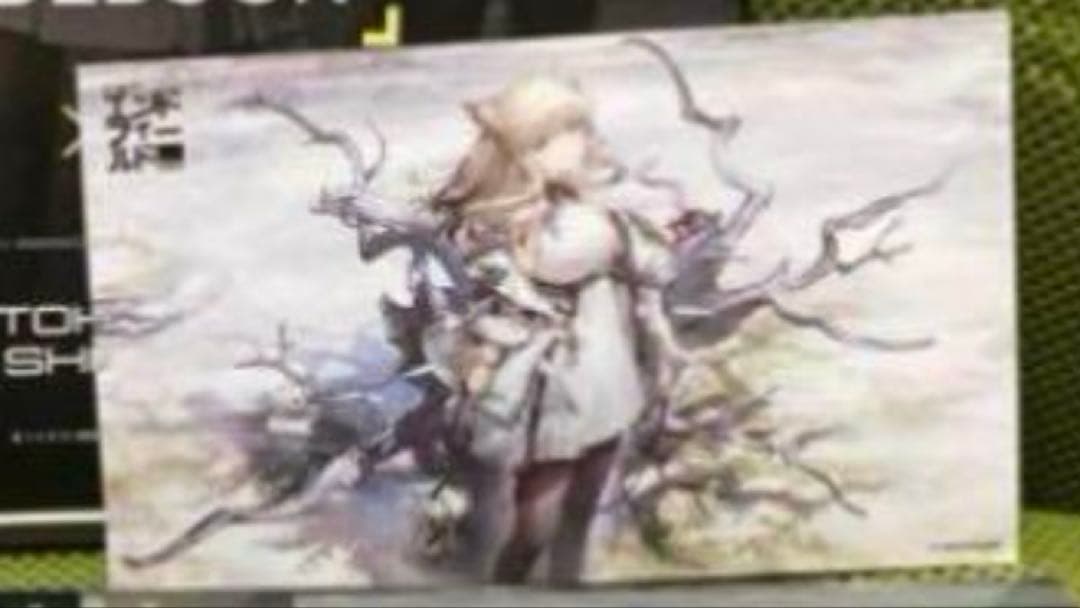 アークナイツ エンドフィールド ノベルティセット ペリカ