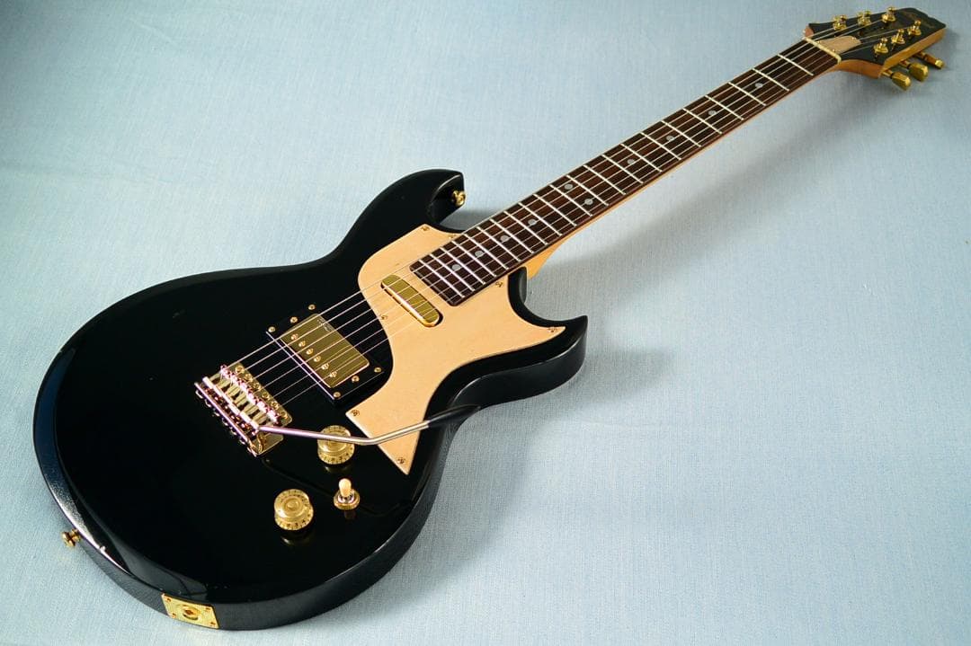 Aria Pro II CS-350T ピックアップ増設 バーズアイピックガード - メルカリ