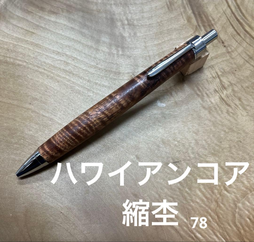 オリジナル万年筆駿河湾春 century2025 字幅F