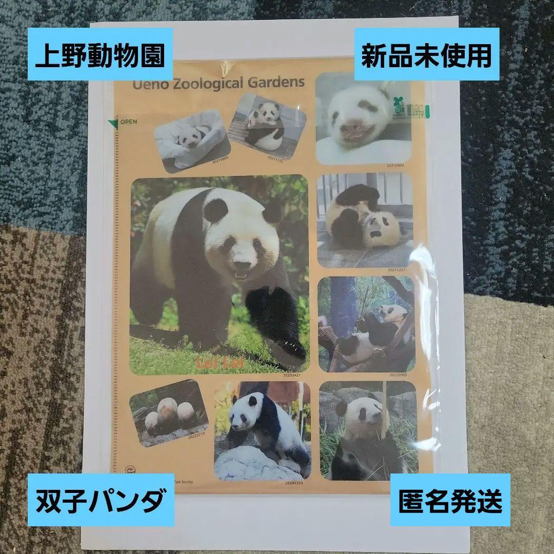 ☆新品未使用☆上野動物園 シャオシャオ&レイレイ クリアファイル