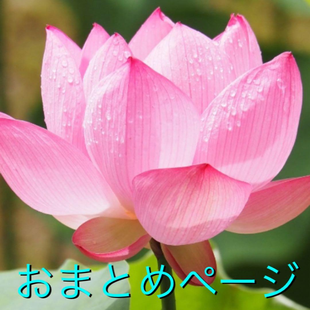 2点バングルおまとめページ 5400597-5400598u_02.jpg