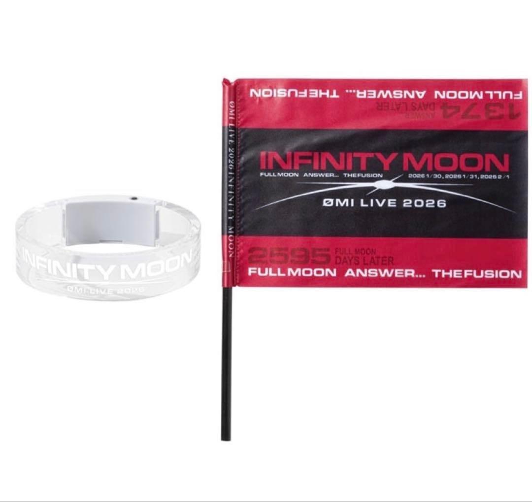 INFINITY MOON フラッグand ライト 登坂広臣 omi - メルカリ