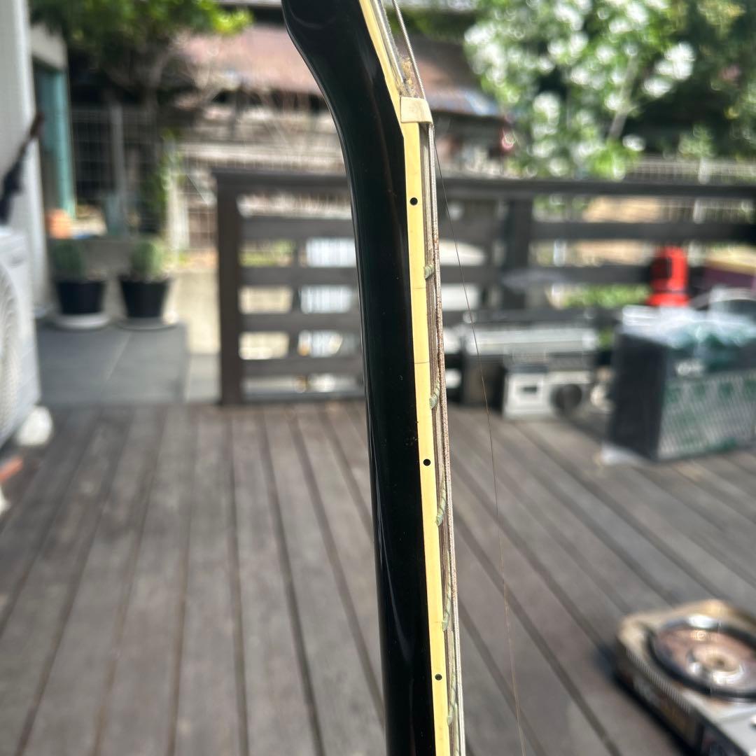 ビンテージ➕新機能 東海楽器の海外ブランドGESSION LP