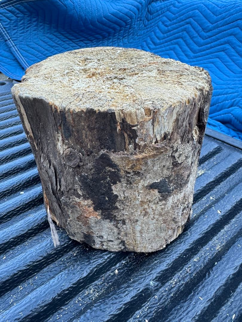 ベトナム材 VN材 15cm×20cm 産卵木 VN材（ベトナム材）Mサイズ 1