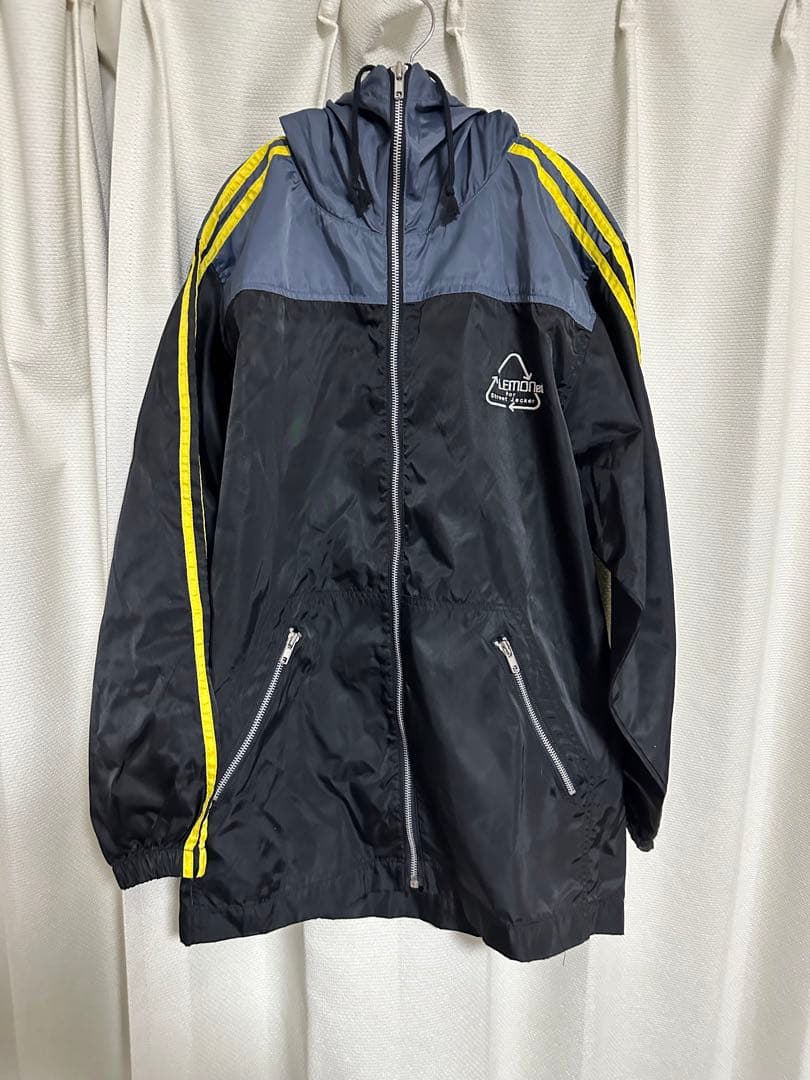 腿太葉虫最大種】Sagra buqueti モモブトハムシプラチナコガネ標本