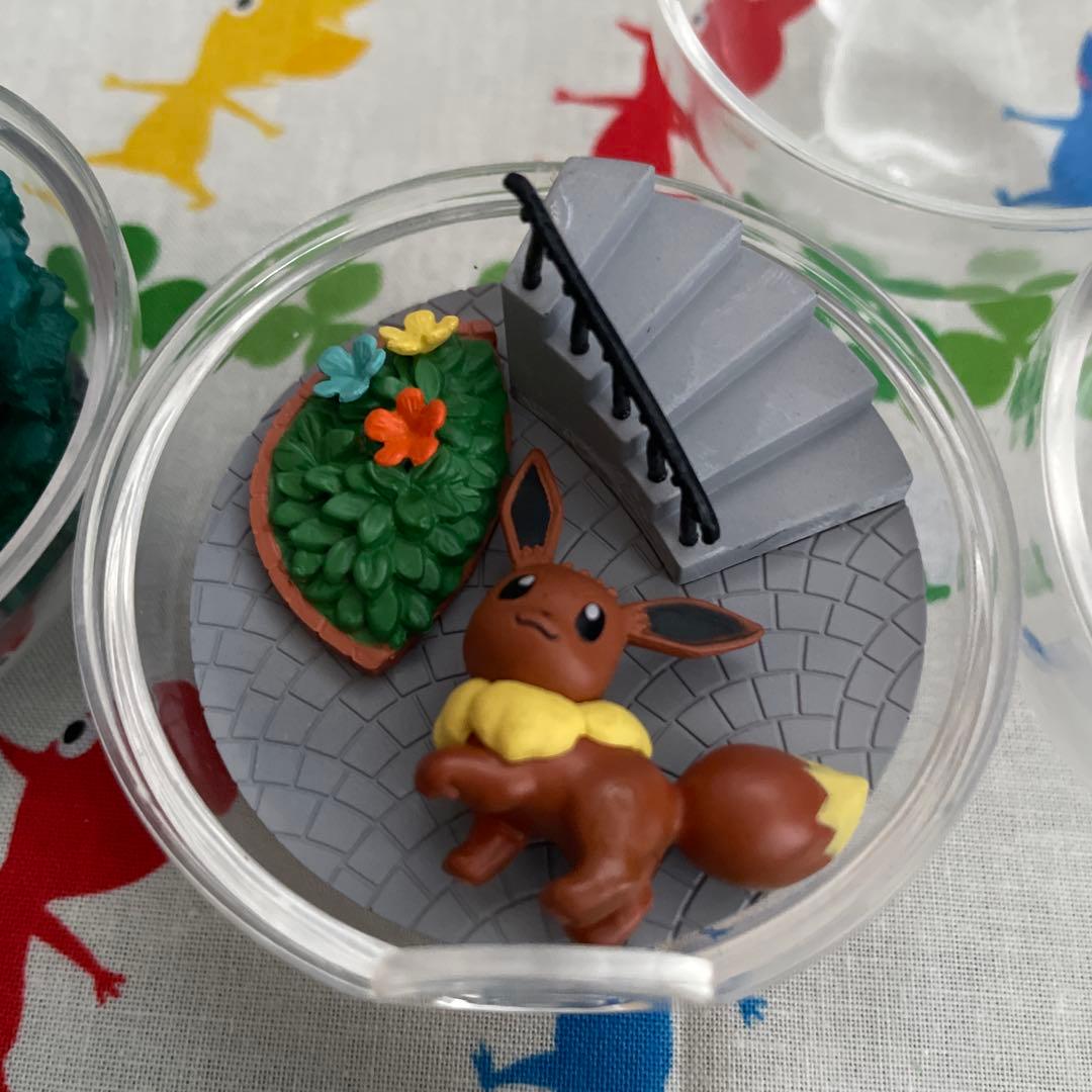 合計11個　ポケモンテラリウム4 +他6個　ブラッキーなし