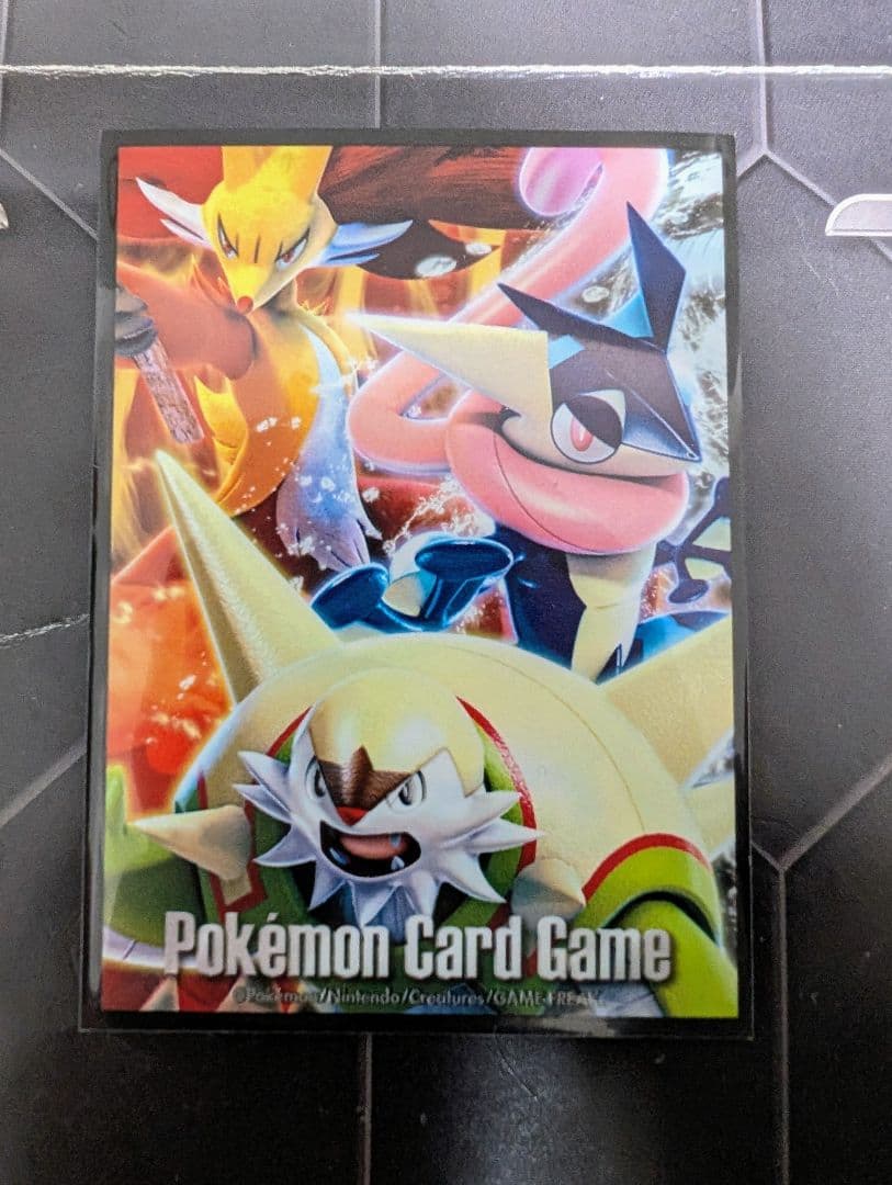 【超美品】《カロス御三家スリーブ付き》ポンチョを着たピカチュウ