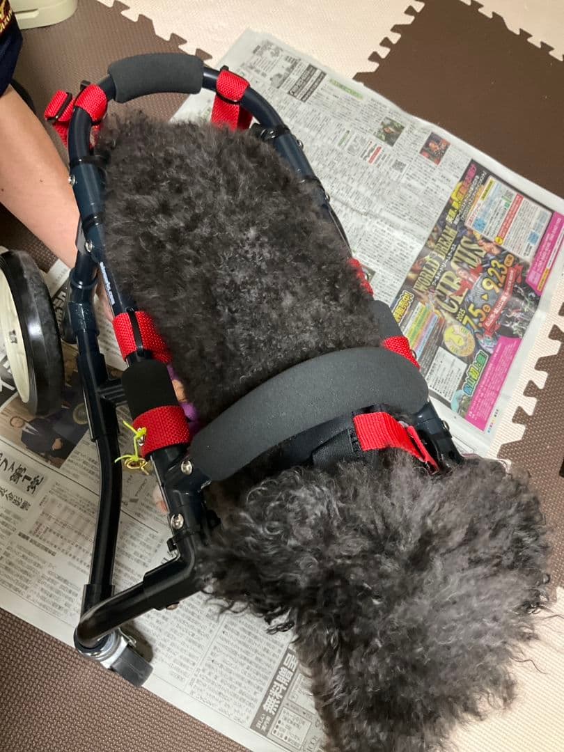 アドワークス 犬用車椅子 ドッグウォーカー 歩行器 補助具 ペット用車椅子